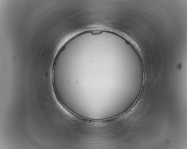 X0000091211239200708091108