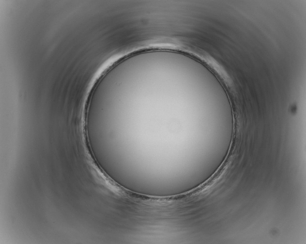 X0000091211240200708091108