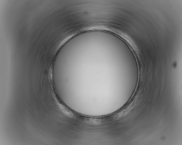 X0000091211241200708091108