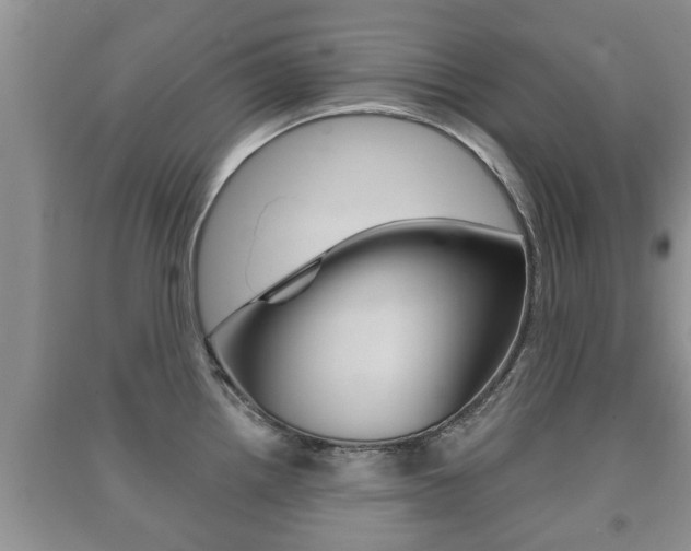X0000091211242200708091109