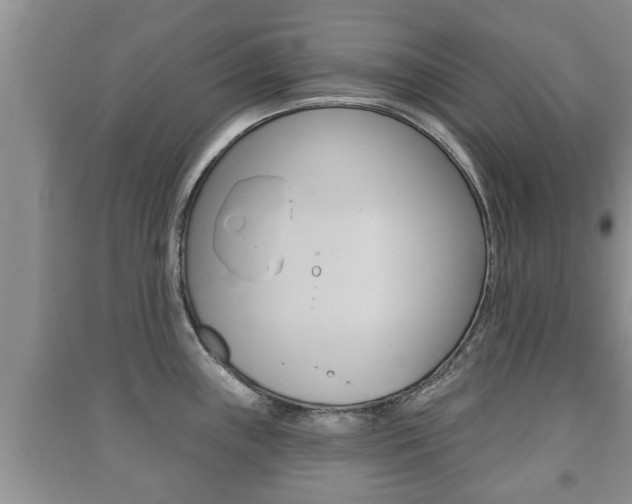 X0000091211243200708091109