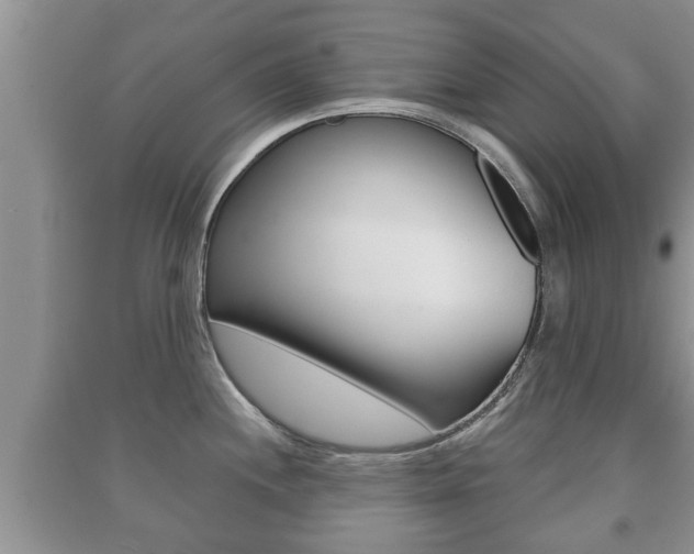 X0000091211244200708091109