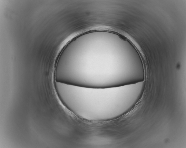 X0000091211245200708091109