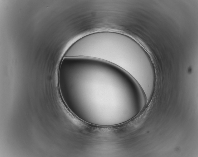 X0000091211246200708091109