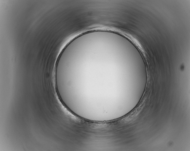 X0000091211247200708091109