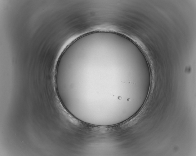 X0000091211248200708091109