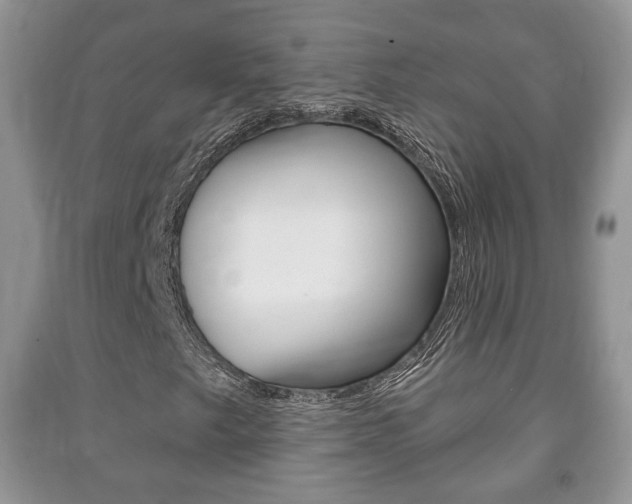 X0000091211249200708091108