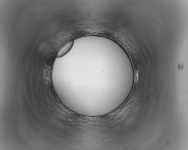X0000091211251200708091108