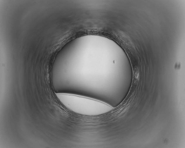 X0000091211252200708091108