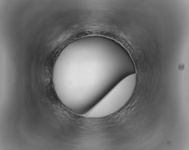 X0000091211253200708091108