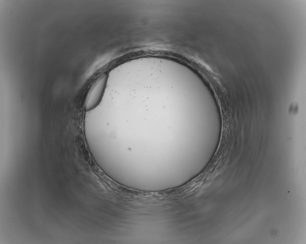 X0000091211255200708091108