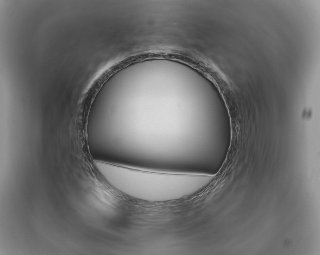 X0000091211256200708091108