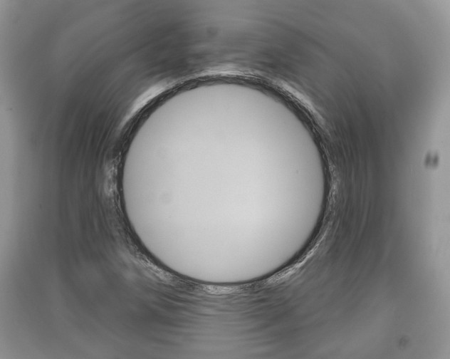 X0000091211258200708091108