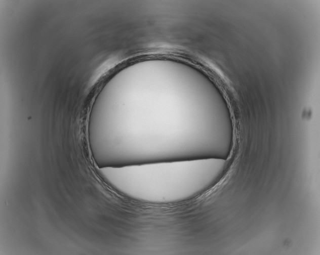 X0000091211259200708091108
