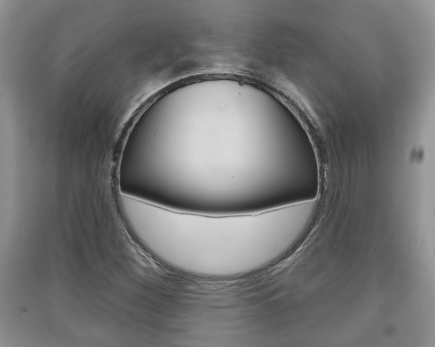 X0000091211260200708091108