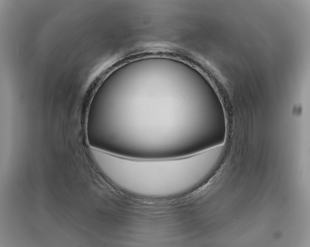 X0000091211261200708091108
