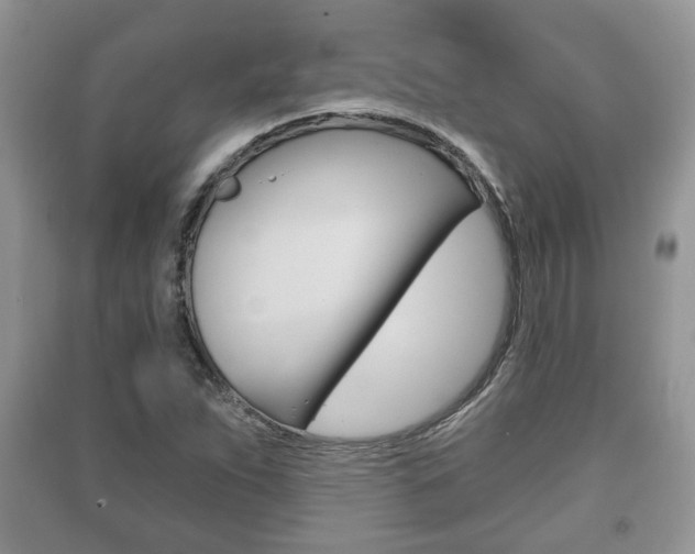 X0000091211263200708091108
