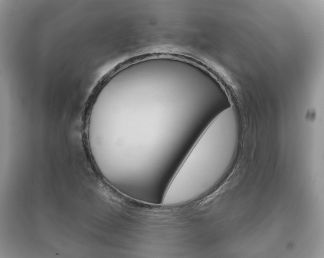 X0000091211264200708091108