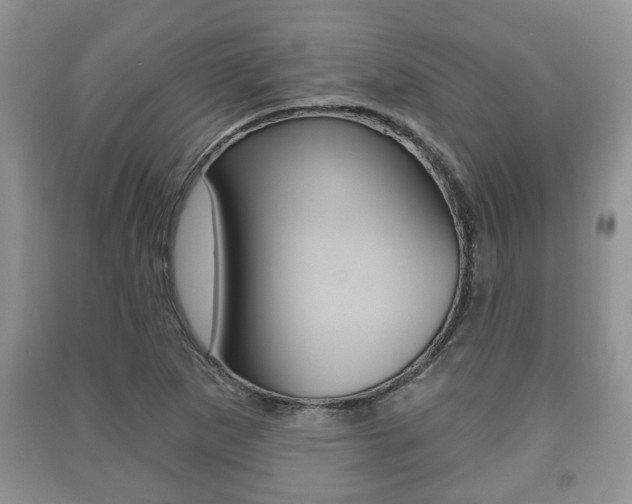 X0000091211265200708091108