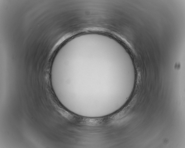 X0000091211266200708091108