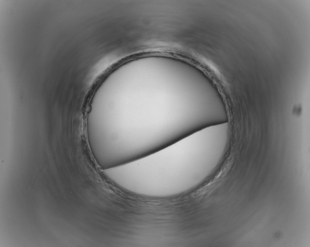 X0000091211267200708091108