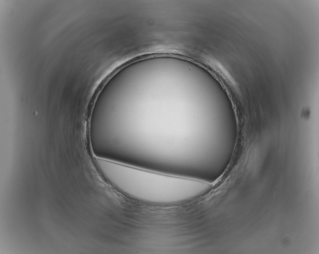 X0000091211268200708091108