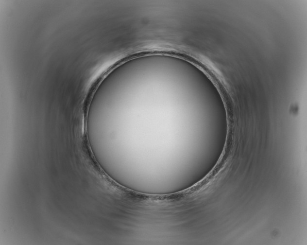 X0000091211269200708091108