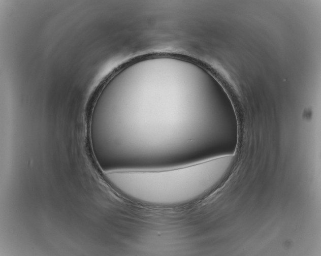 X0000091211270200708091108