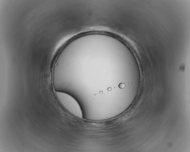 X0000091211271200708091108