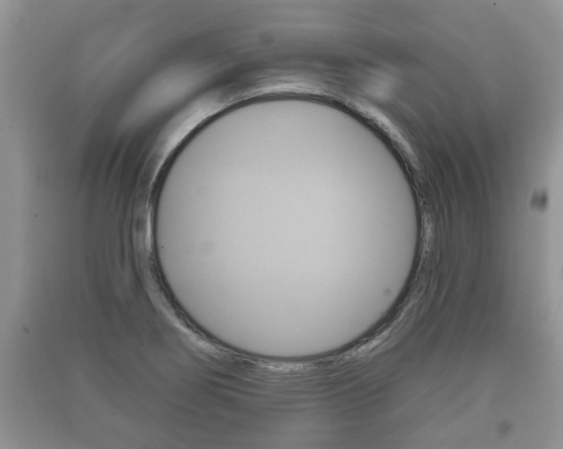 X0000091211274200708091108