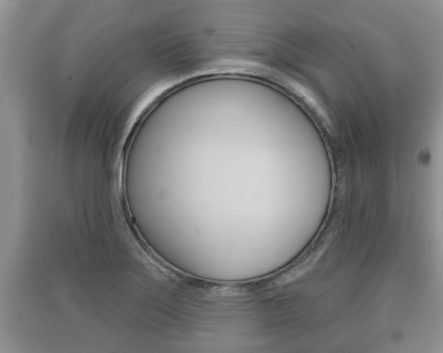 X0000091211275200708091108