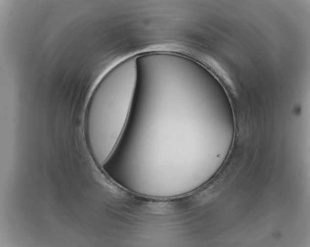 X0000091211276200708091108