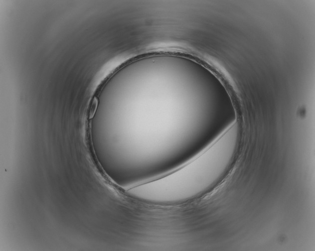 X0000091211277200708091108