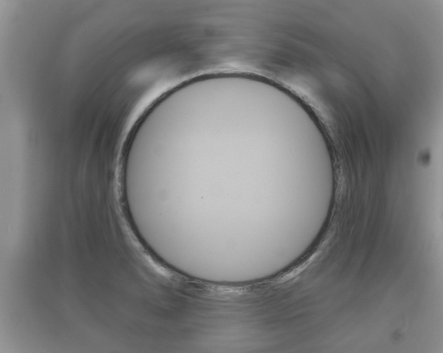 X0000091211278200708091108