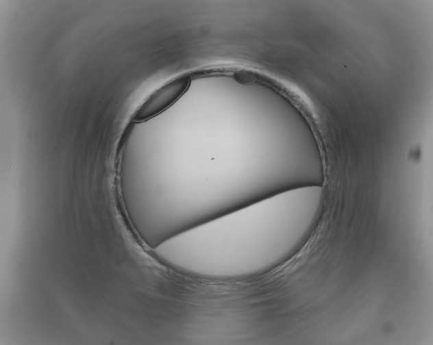 X0000091211279200708091108