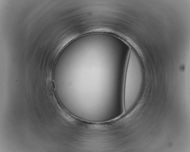 X0000091211281200708091108