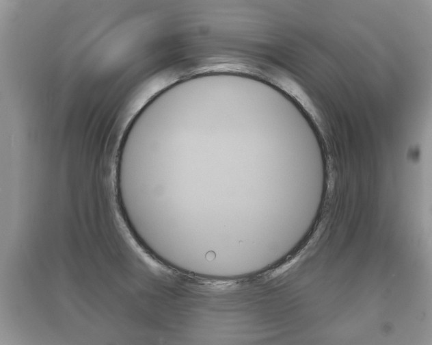 X0000091211282200708091108