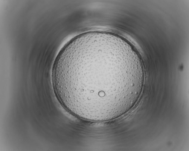 X0000091211283200708091108