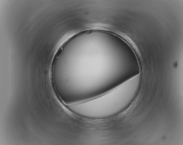 X0000091211285200708091107