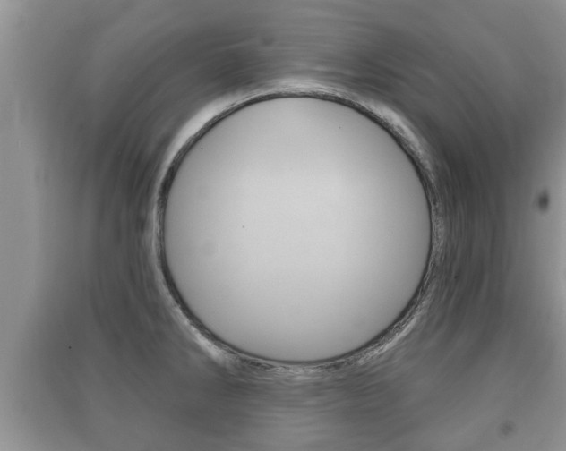 X0000091211286200708091107
