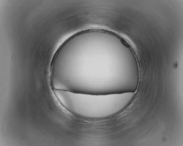 X0000091211287200708091107