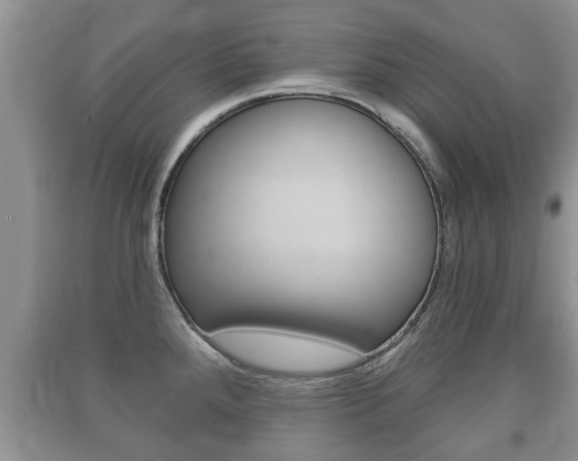 X0000091211288200708091107
