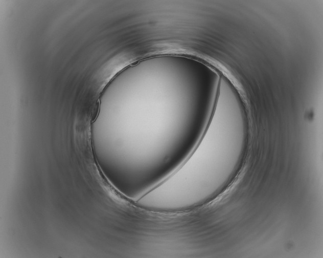X0000091211289200708091107