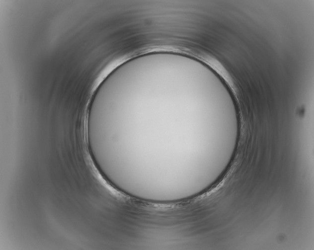 X0000091211290200708091107