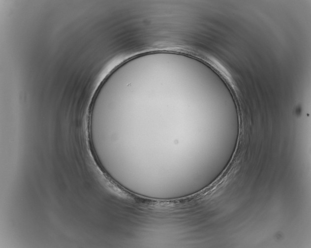 X0000091211291200708091107