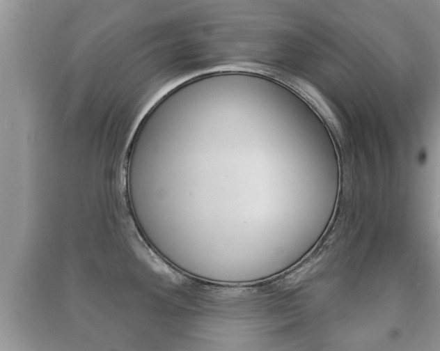 X0000091211292200708091107