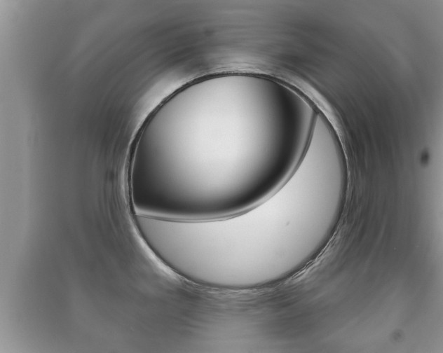 X0000091211293200708091107