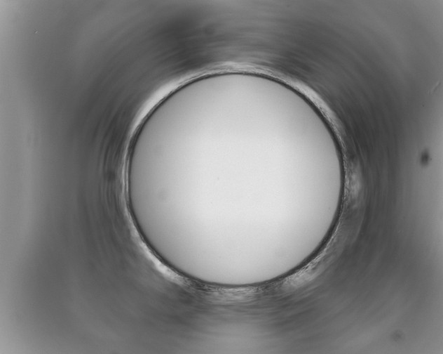 X0000091211294200708091107