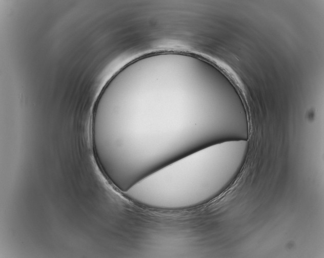 X0000091211295200708091107