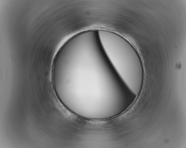 X0000091211296200708091107